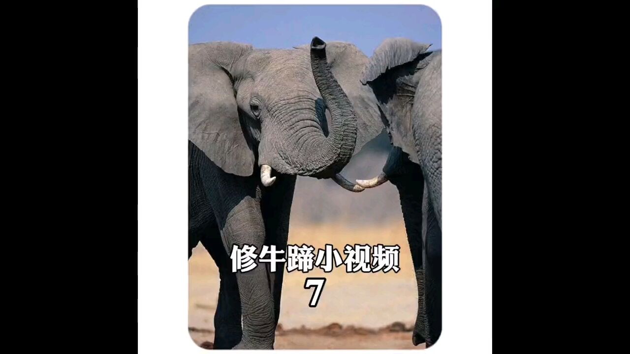 这么解压的外国小哥,你爱了吗