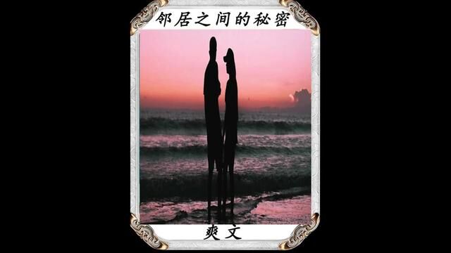 书名《邻居之间的秘密》#小说 #爽文