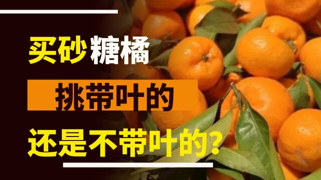 买糖橘时,选带叶还是不带叶的?老果农告诉你:记住了,这4种白送也不要