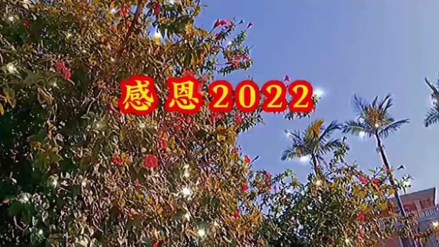 感恩2022