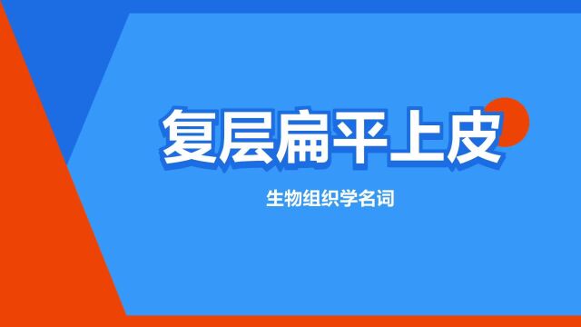 “复层扁平上皮”是什么意思?