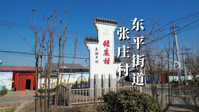 航拍美丽乡村系列|东平县东平街道张庄村