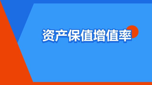 “资产保值增值率”是什么意思?