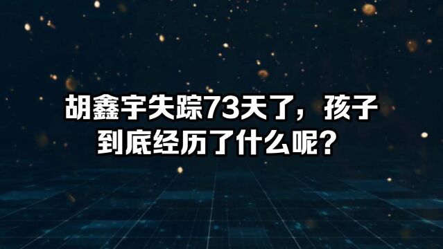 胡鑫宇失踪73天了,孩子到底经历了什么呢?