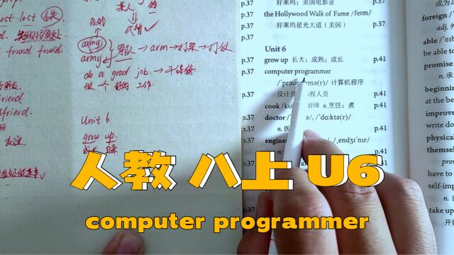 人教版 八上 U6 逐词讲解(二)computer programmer