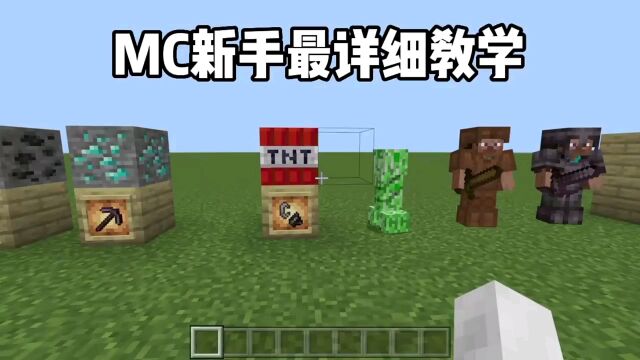 我的世界:MC新手最详细教学