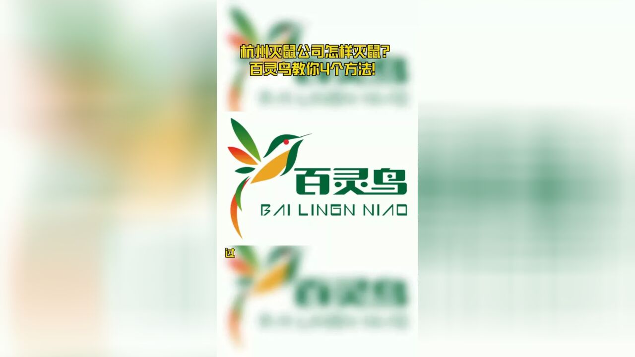 杭州灭鼠公司怎样灭鼠?百灵鸟教你4个方法!