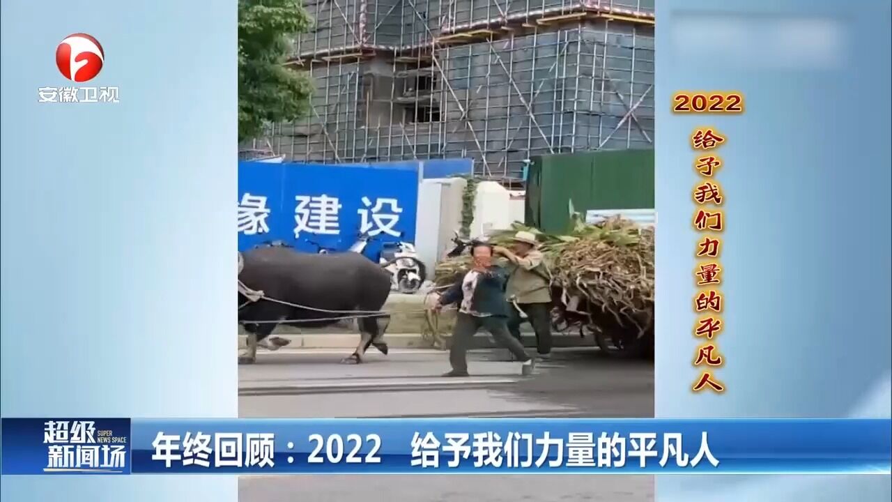 年终回顾:2022给予我们力量的平凡人