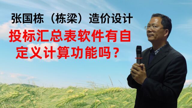 张国栋(栋梁)造价设计:投标汇总表软件有自定义计算功能吗?