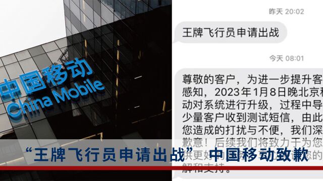 王牌飞行员申请出战?中国移动回应:系统升级测试短信