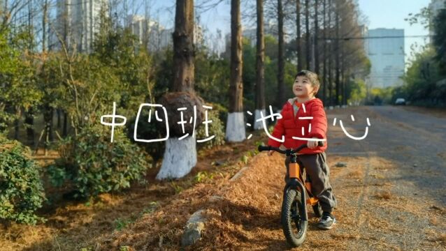 苹果小知识