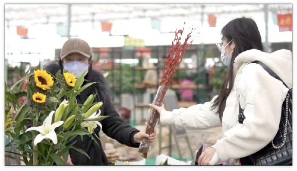 年味汉中|年宵花的销售情况咋样?一起去花卉市场逛逛