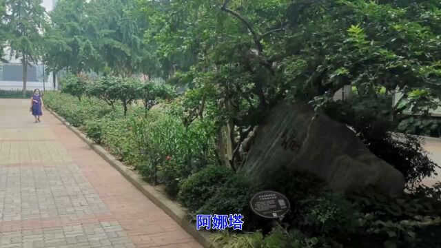 河南郑州绿城广场.碧沙岗公园