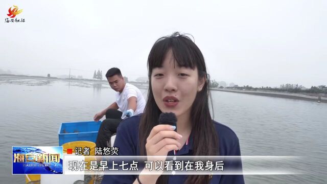 恰“爬海”咯