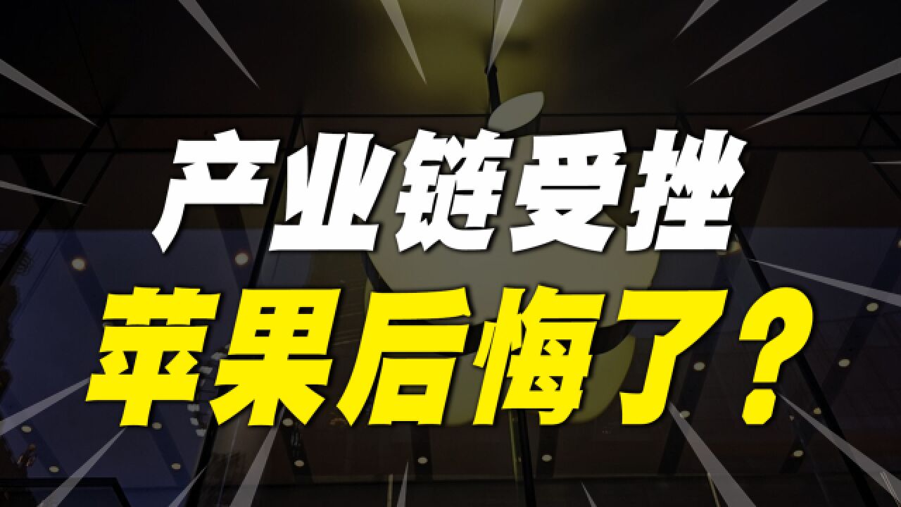 当头一棒!苹果产业链转移受挫,印度制造变“印度滥造”?