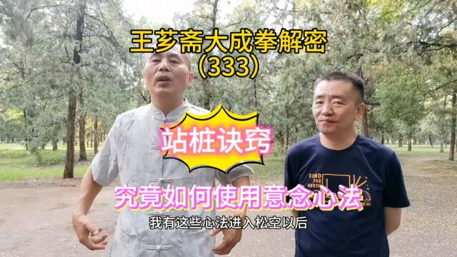 第333集|站桩诀窍:究竟如何使用意念心法?