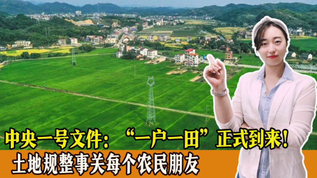 中央一号文件:土地规整 “一户一田＂正式到来!事关每个农民朋友