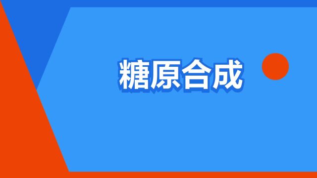 “糖原合成”是什么意思?