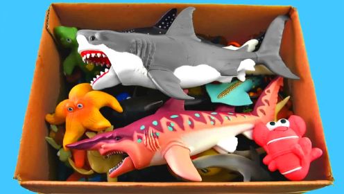 儿童益智玩具：海星、螃蟹、鲨鱼、鲸鱼、海豚、企鹅、海马、海龟！