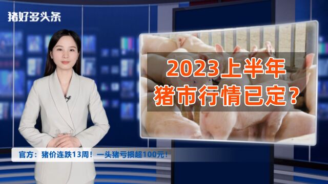 官方:猪价连跌13周!一头猪亏损超100元!2023上半年行情已定?