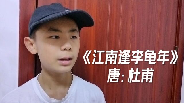 品国学经典(174)《江南逢李龟年》唐:杜甫