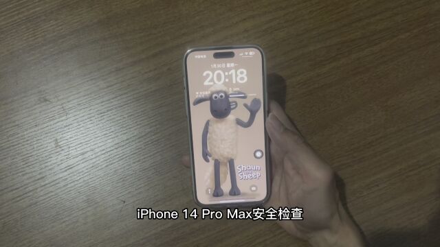 iPhone 14 Pro Max安全检查