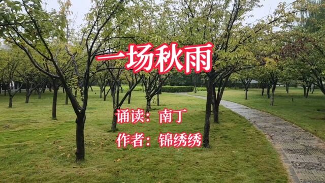 经典现代诗歌《一场秋雨》诵读:南丁 作者:锦绣绣