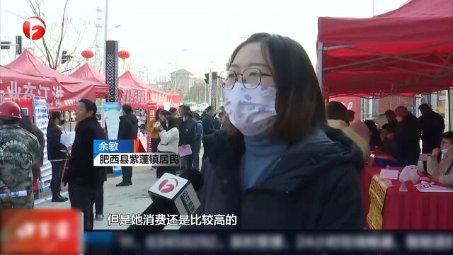 肥西:找工作就在家门口,“孔雀”不再东南飞