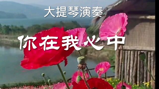 大提琴演奏《你在我心中》