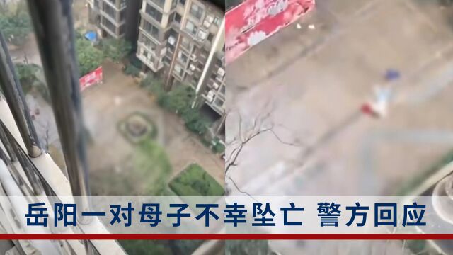 岳阳一对母子不幸坠亡,网传“女子有精神病史”暂未得到相关部门确认