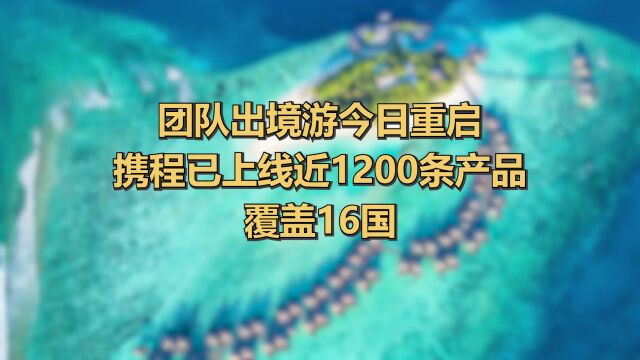 时隔三年团队出境游恢复!郑州“首团”明日可发,最热目的地是→