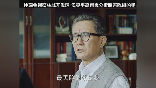 沙瑞金视察林城开发区 侯亮平高育良分析暗害陈海凶手