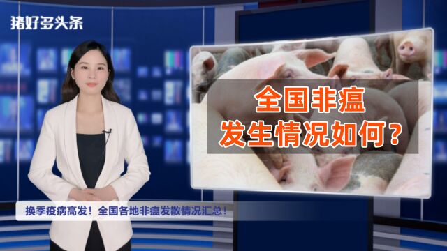 多地猪场非瘟再起?散户、规模场都有中招!这些地区需注意