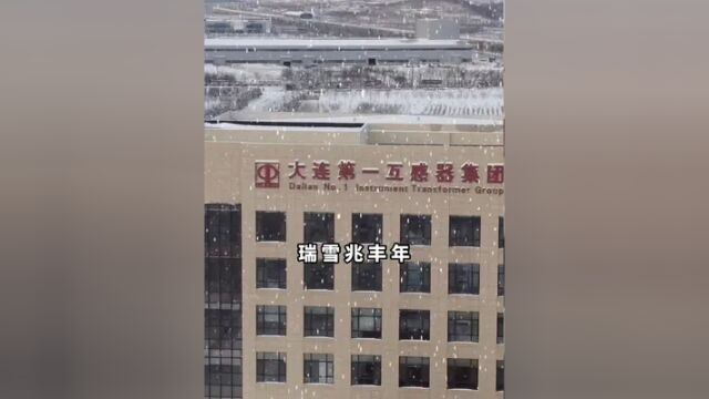 瑞雪兆丰年 大一互集团 打造全球中压互感器首选品牌