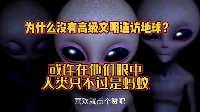 为什么没有高级文明造访地球?或许在他们眼中,人类只不过是蚂蚁