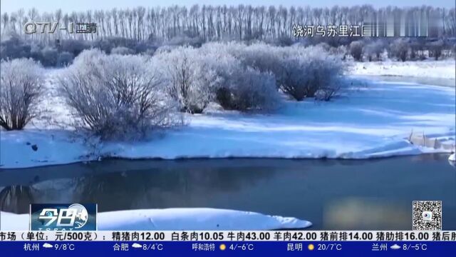 醉美冰雪入画来!走进黑龙江的冰雪天地,感染大自然的馈赠