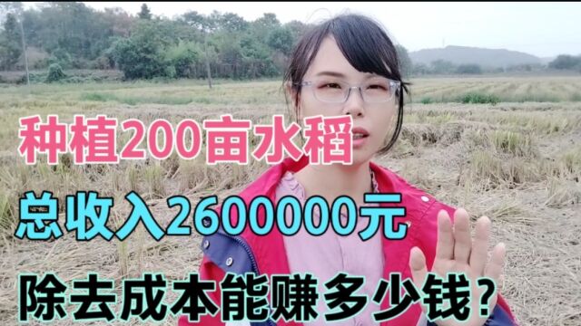 种植200亩水稻,收获稻谷20万斤,毛收入26万,除去成本能挣多少