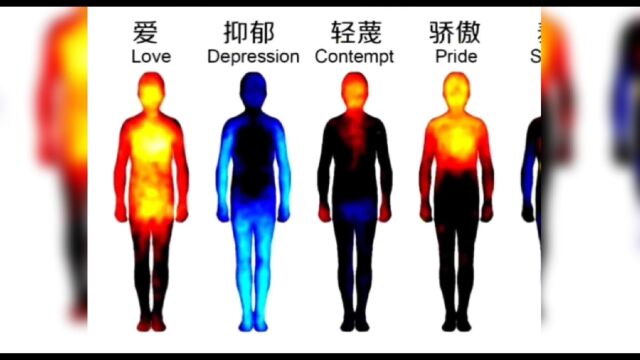 科学研究证明幸福感高于其他一切情感,得了抑郁症相当于没有了心