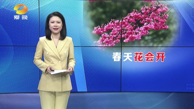 来这里,邂逅最美花季