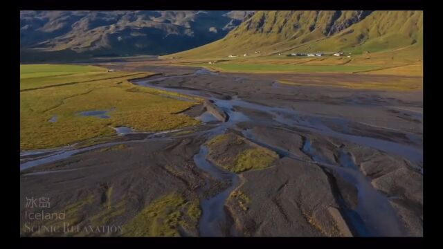 脱缰野马的风景