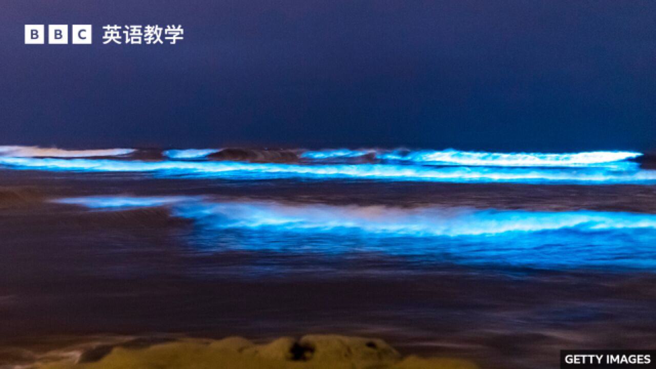 BBC英语大破解:生物发光现象“bioluminescence”令海水在夜晚发出蓝光