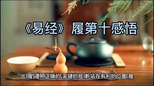 《易经》履第十感悟