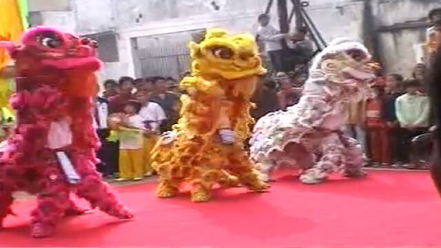 广东省化州市茅山村2006年醒狮表演