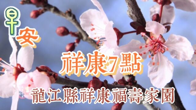 龙江县祥康福寿家园日常篇:今天是2月19日,农历正月廿九,早上好呀!