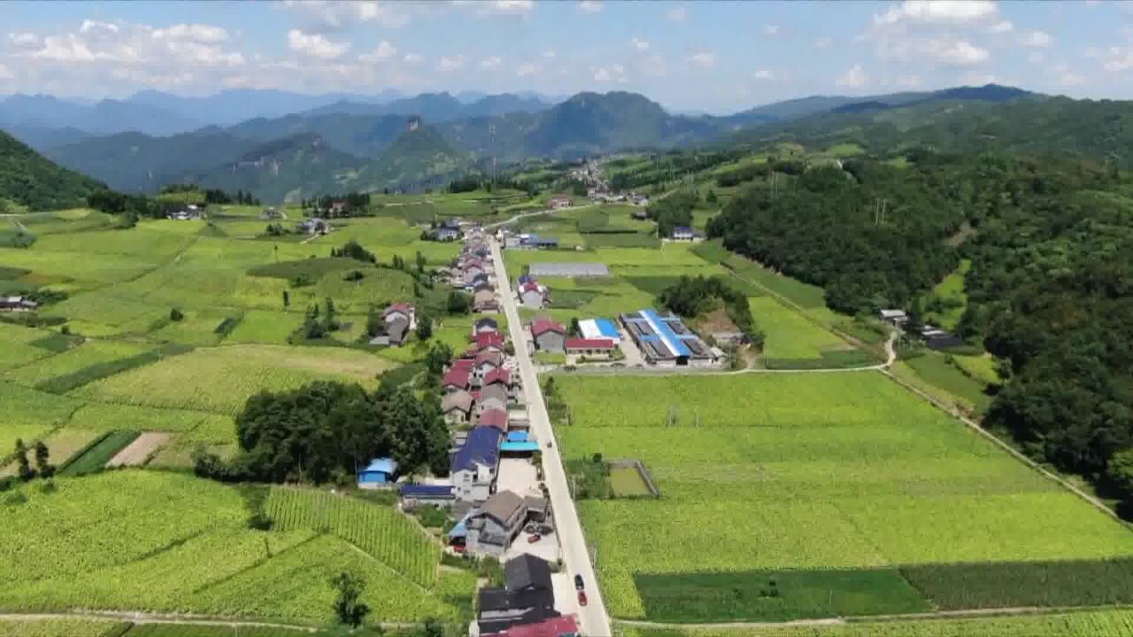 石门县跑出乡村振兴加速度