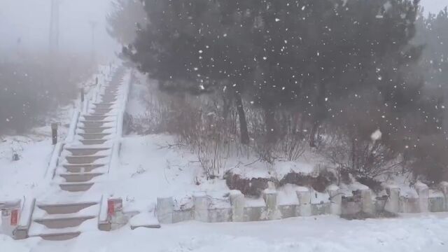 北京多地今迎降雪:雪花扬扬洒洒,再现北国风光