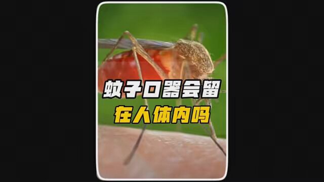 蚊子吸血的口器会留在人体内吗? #涨知识 #科普知识