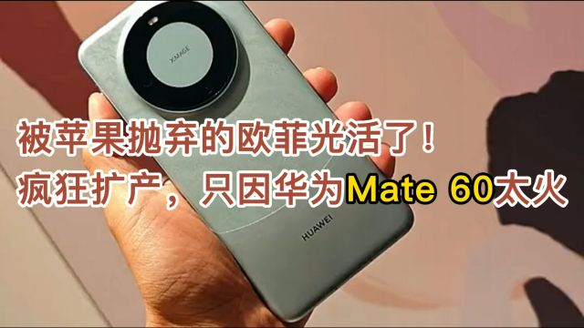 被苹果抛弃的欧菲光活了!疯狂扩产,只因华为Mate 60太火