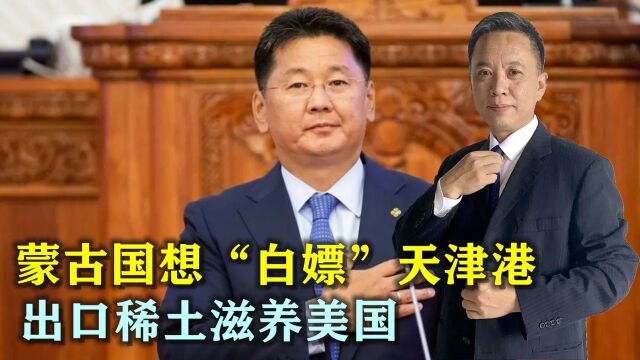 蒙古国想免费租借天津港建海运基地,或出口稀土滋养美国