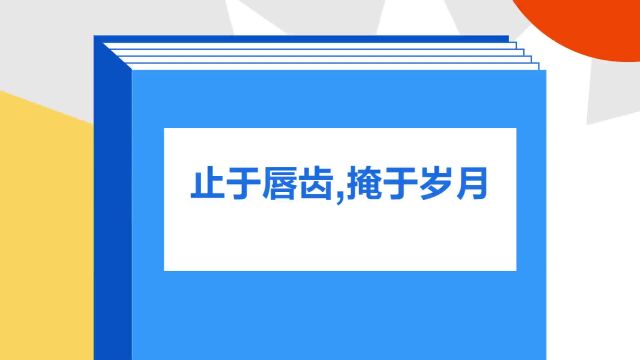 带你了解《止于唇齿,掩于岁月》